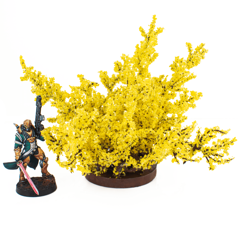 ForsythiaTreeTITLE