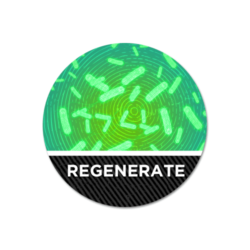 Regenerate