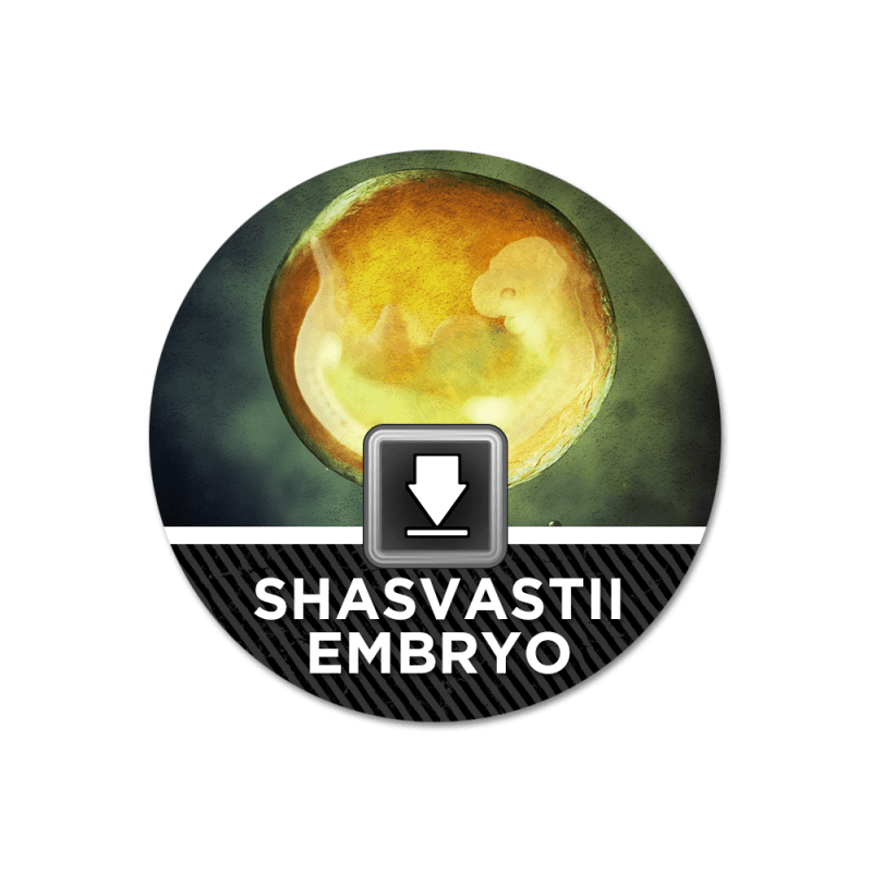 ShasvastiiEmbryo