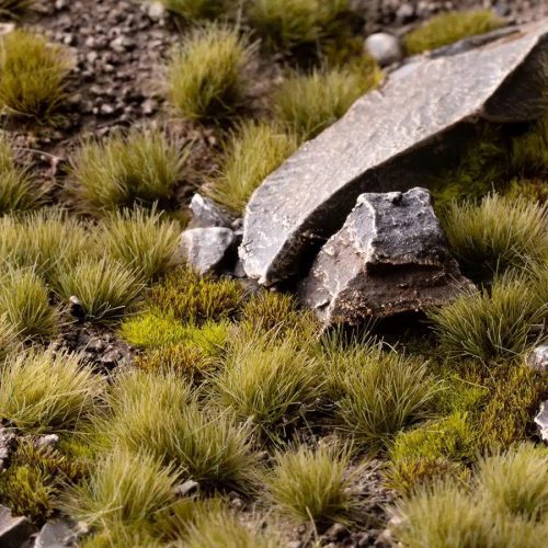 dry green 6mm diorama 1600x900 8fecba18 346e 41ea a4ce 01e0cc40a52f