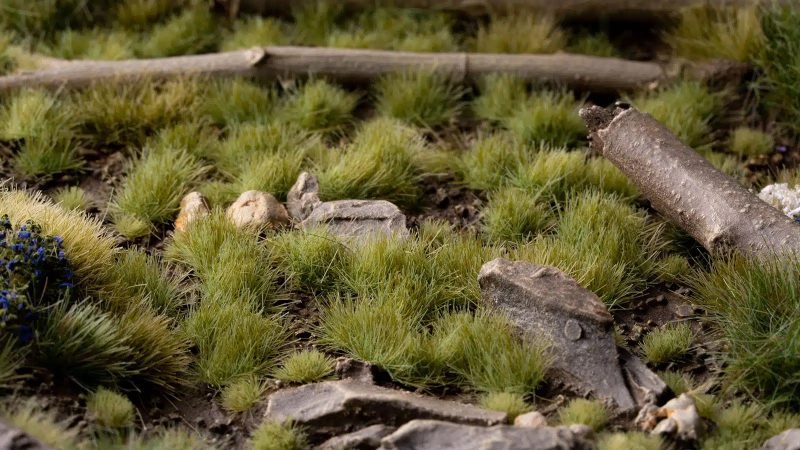 green 4mm diorama 1600x900 fe43f325 f9ce 4534 817e efe9c276998c