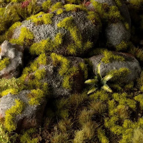 moss 2mm diorama 1600x900 2a358496 1550 47a1 b1d9 89596637b5e8