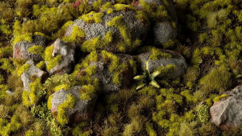 moss 2mm diorama 1600x900 2a358496 1550 47a1 b1d9 89596637b5e8