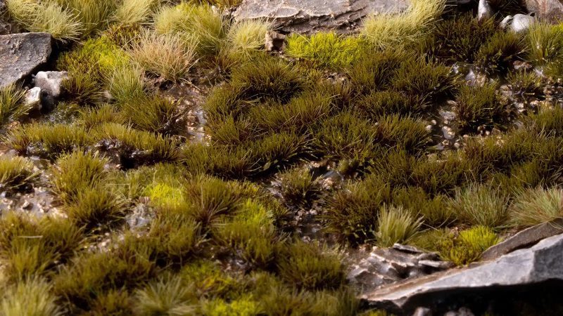 swamp 4mm diorama 1600x900 36909a29 5f21 467e 84b1 f4dba27f852c